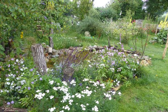 Sieger des Naturgarten-Wettbewerbs: Familie Raudonat (Bild: Naturparkzentrum Botrange)