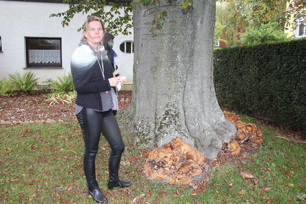 Eupen pflegt seine Park- und Straßenbäume - Dafür setzt sich Bürgermeisterin Claudia Niessen ein (Foto: Chantal Scheuren, BRF)