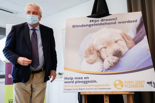 Prinz Laurent gibt Startschuss zu Kampagne "Welpe sucht Pflegefamilie" (Bild: Bruno FahyBelga)