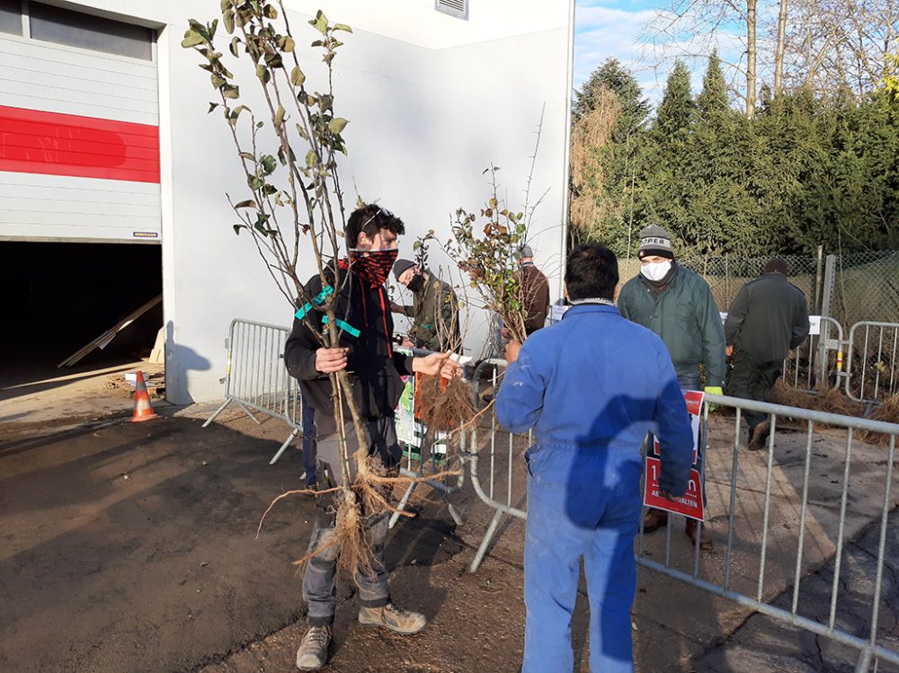 Baumverteilaktion der Gemeinde Bütgenbach: Bäume und Sträucher waren sehr begehrt (Bild: Manuel Zimmermann/BRF)