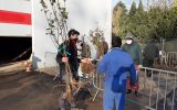 Baumverteilaktion der Gemeinde Bütgenbach: Bäume und Sträucher waren sehr begehrt (Bild: Manuel Zimmermann/BRF)