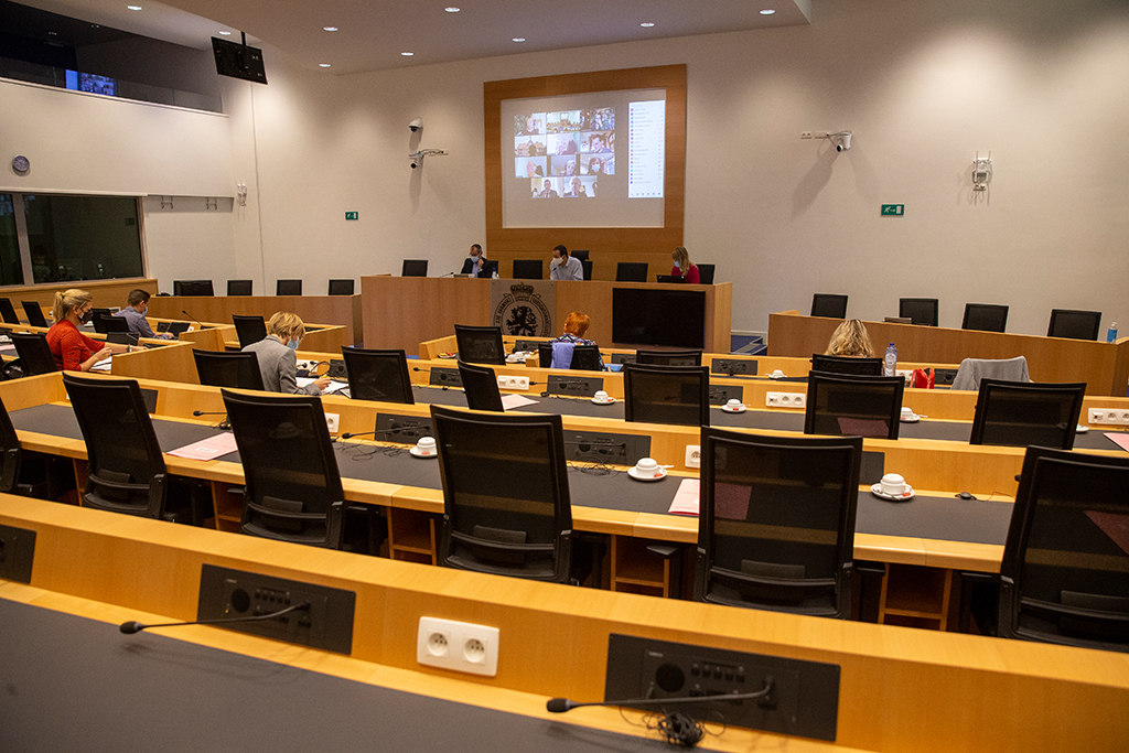 Die Ausschussitzungen in der Kammer laufen teilweise virtuell ab (Bild: Nicolas Maeterlinck/Belga)