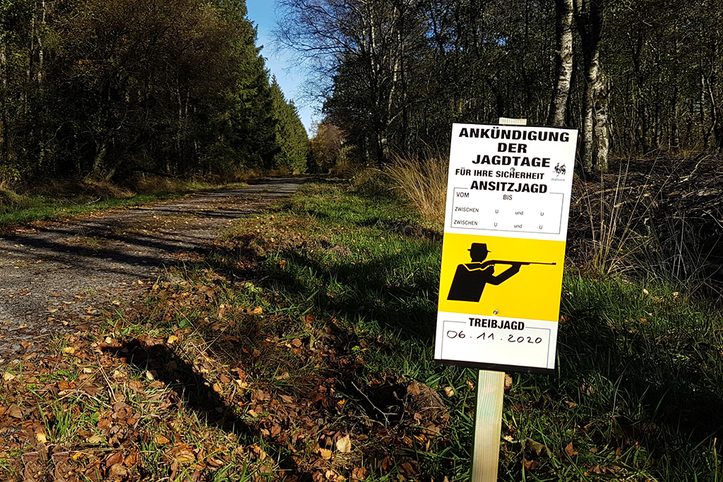 Schild im Hertogenwald: Vorsicht, Treibjagd! (Bild: Katrin Margraff/BRF)