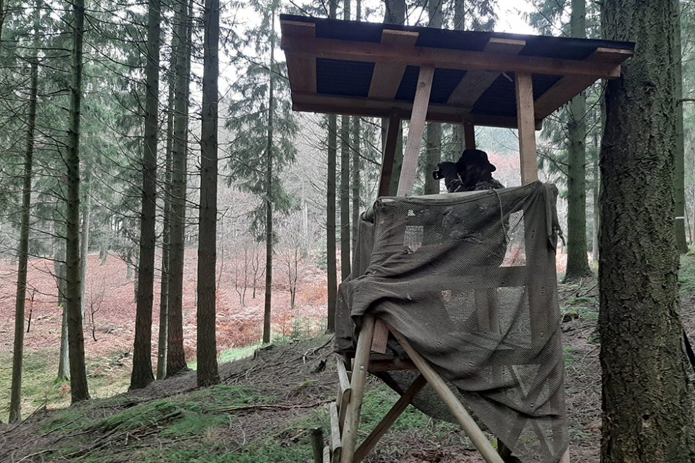 Mit Günther Scheuren auf der Jagd (Bild: Michaela Brück/BRF)