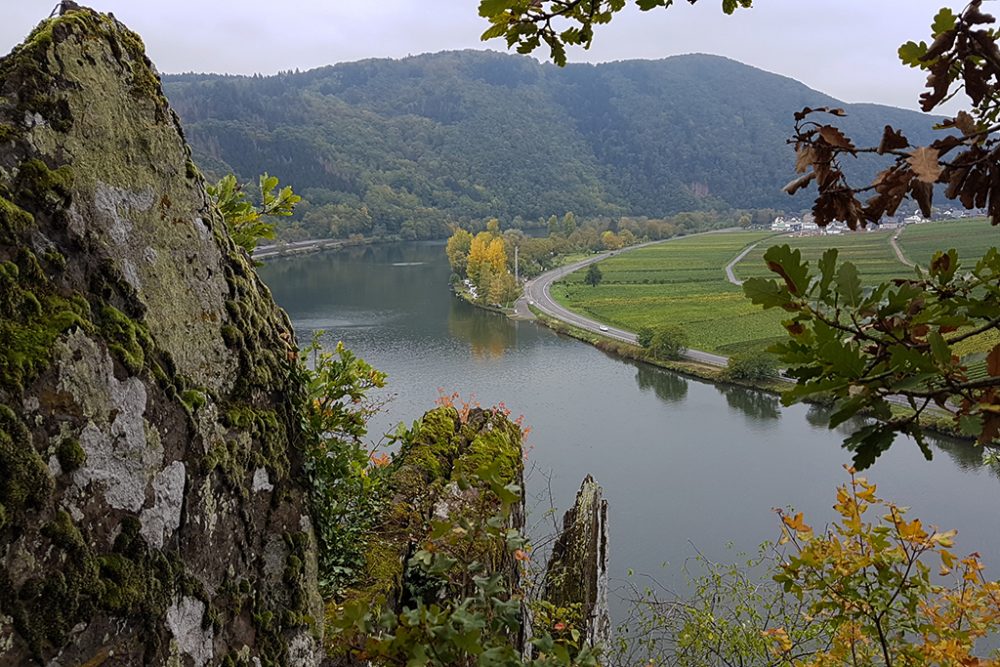 Weinregion an der Mosel (Bild: Katrin Margraff/BRF)