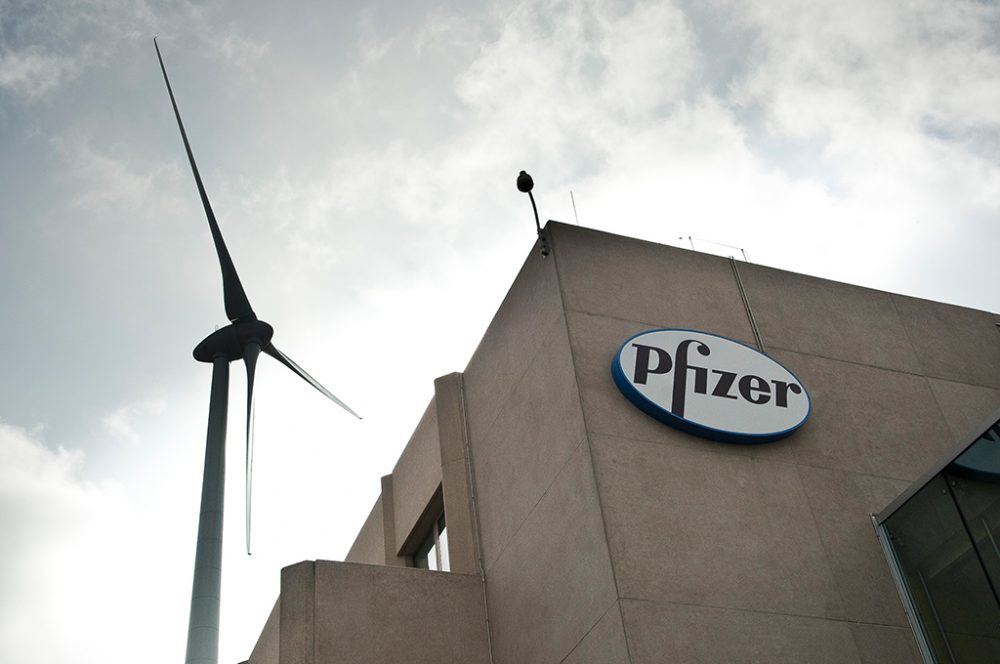 Pfizer-Standort in Puurs (Bild: Dries Luyten/Belga)
