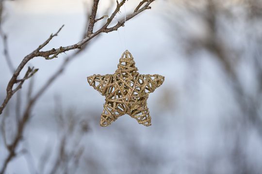 Stern (Illustrationsbild: © Bildagentur PantherMedia / Andrea Haase)