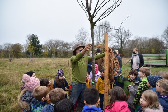Streuobstwiese für jedermann in Hauset (Bild: Chantal Scheuren/BRF)