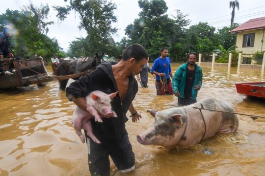 Überschwemmungen in Mittelamerika durch Hurrikan Eta