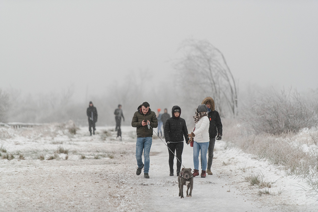 Spaziergänger mit Hund im Schnee im Hohen Venn (Foto: Nicolas Lambert/Belga)