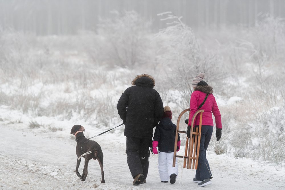 Spaziergänger mit Schlitten und Hund im Schnee im Hohen Venn (Bild: Nicolas Maeterlinck/Belga)