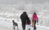 Spaziergänger mit Schlitten und Hund im Schnee im Hohen Venn (Bild: Nicolas Maeterlinck/Belga)