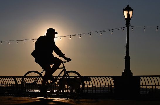 Radfahrer mit Hund in New York City (Bild: Angela Weiss/AFP)