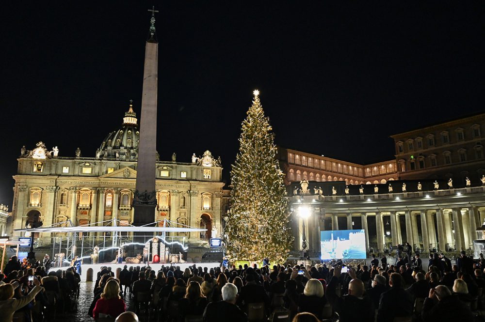 Weihnachtsbaum leuchtet auf dem Petersplatz (Bild: Andreas Solaro/AFP)