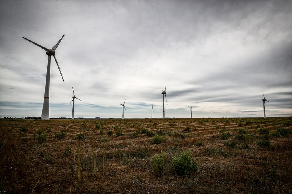 Windpark in Estinnes bei Binche (Archivbild: Virginie Lefour/Belga)