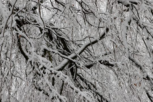 Bild: Julien Claessen/BRF