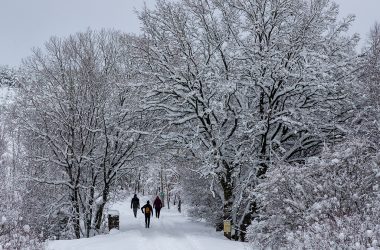 Wandern im Hohen Venn bleibt erlaubt (Bild: Nicolas Maeterlinck/Belga)