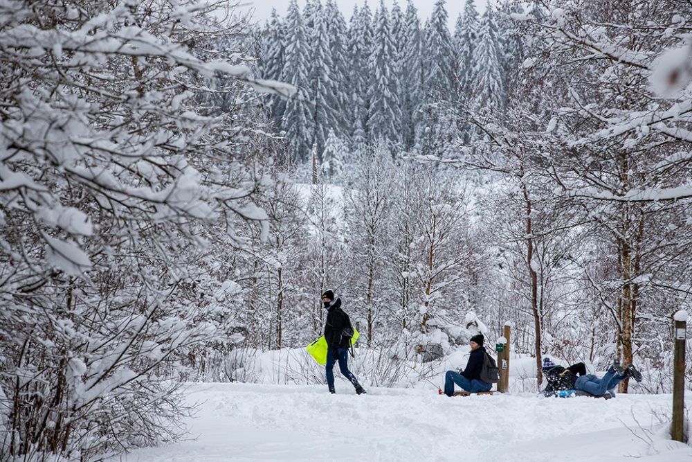 Wandern im Hohen Venn bleibt erlaubt (Archivbild: Nicolas Maeterlinck/Belga)