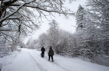 Wandern im Hohen Venn bleibt erlaubt (Bild: Nicolas Maeterlinck/Belga)