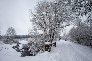 Wandern im Hohen Venn bleibt erlaubt (Bild: Nicolas Maeterlinck/Belga)