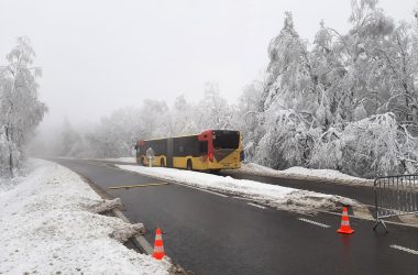 Nur Tec-Busse und Anwohner mit Passierschein dürfen durch (Bild: Manuel Zimmermann/BRF)