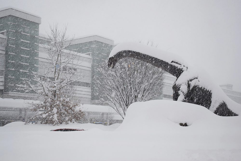 Fukui am 9. Januar (Bild: Jiji Press/AFP)