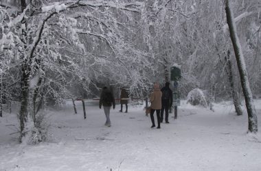 Spaziergänger im Schnee von Botrange (Bild: Chantal Scheuren/BRF)