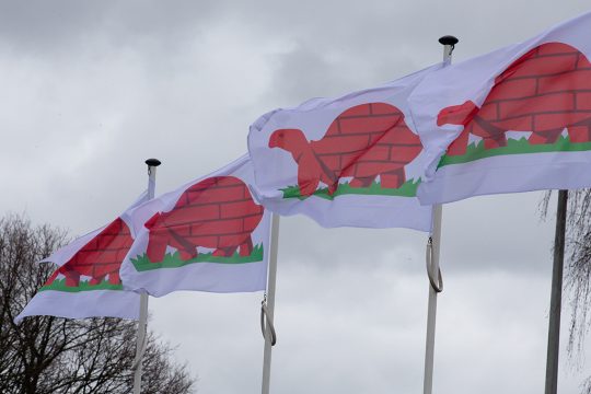 Batibouw 2020 (Bild: Nicolas Maeterlinck/Belga)