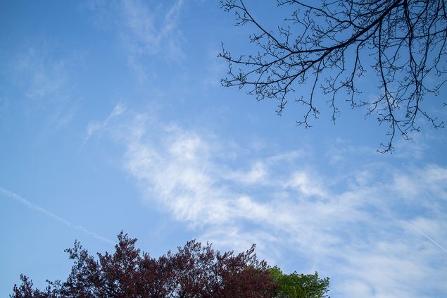 Frühling (Bild: Siska Gremmelprez/Belga)