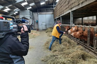 Limousin-Rinderzüchter Lothar Vilz geht seinen richtigen Weg (Bild: Christophe Ramjoie/BRF)