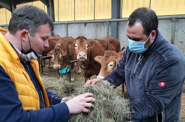 Limousin-Rinderzüchter Lothar Vilz geht seinen richtigen Weg (Bild: Christophe Ramjoie/BRF)