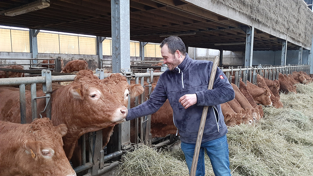 Limousin-Rinderzüchter Lothar Vilz geht seinen richtigen Weg Limousin-Rinderzüchter Lothar Vilz geht seinen richtigen Weg (Bild: Christophe Ramjoie/BRF)