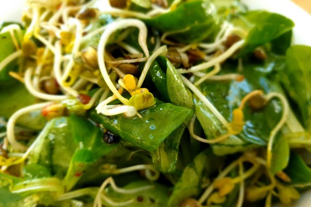 Bei dem Kurs werden verschiedene Arten des Fastens erklärt, außerdem gibt es Rezept-Tipps (Bild: Ursula Dahmen)
