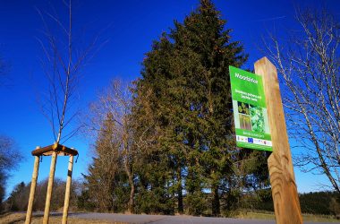 Arboretum in der Gemeinde Büllingen: Baum- und Straucharten entlang des Ravels kennen lernen (Bild: Raffaela Schaus/BRF)