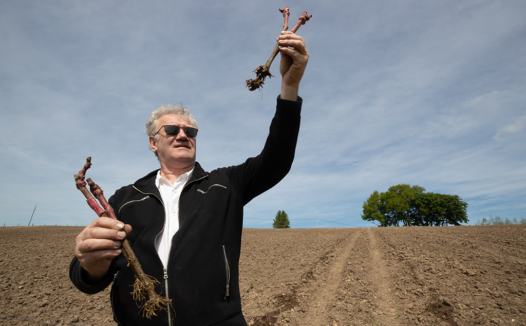 Regisseur Ben Stassen im Mai 2020 auf einer Weinplantage in seiner Heimat Aubel (Bild: Benoit Doppagne/Belga)