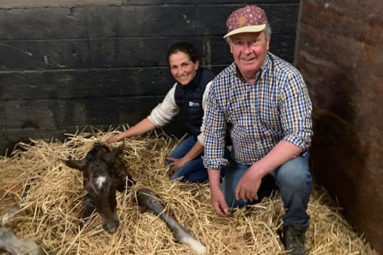 Familie Haep aus Recht