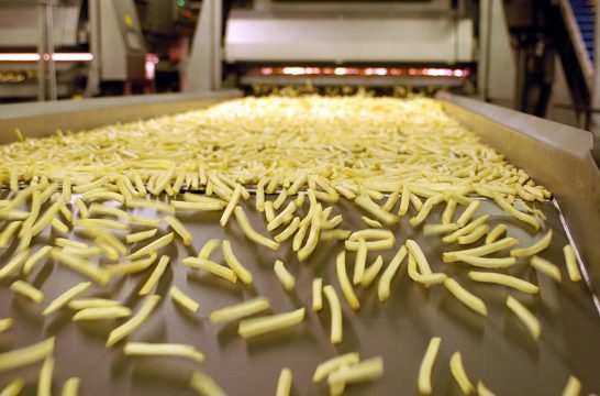 Fritten auf Fabrik-Laufband