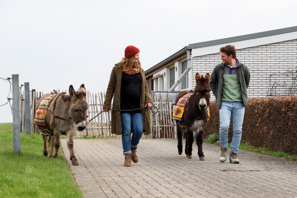 Happy Farm Lontzen (Bild: Julien Claessen/BRF)