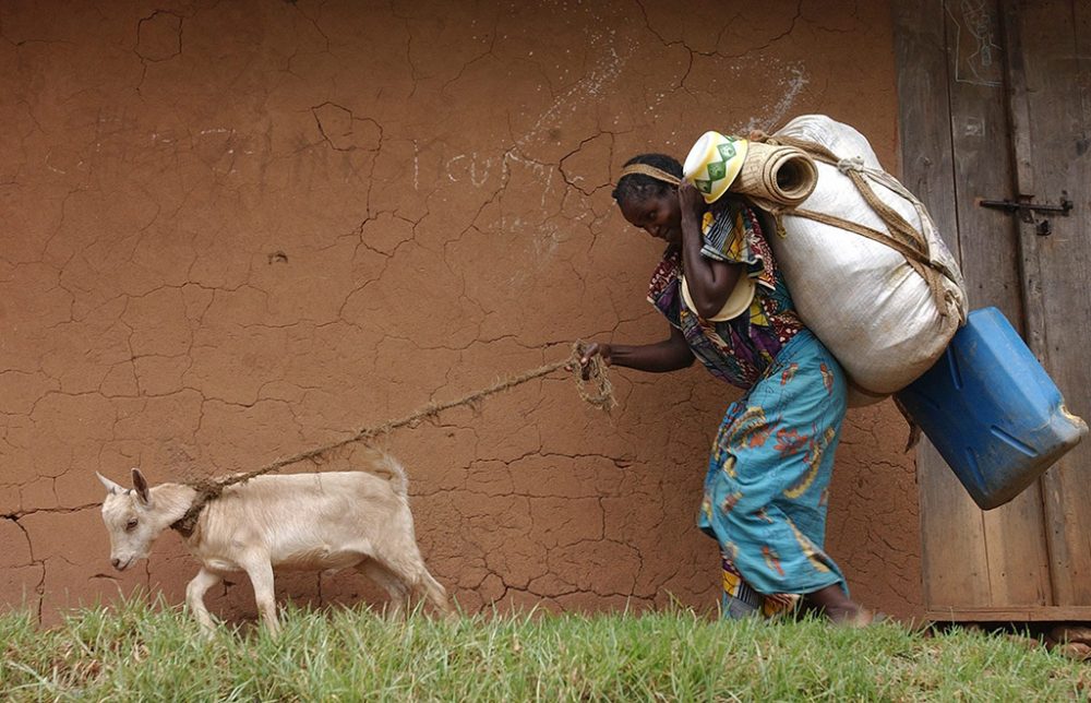 Im kongolesischen Dorf Kanyabayonga (Bild: Stephen Morrison/EPA)
