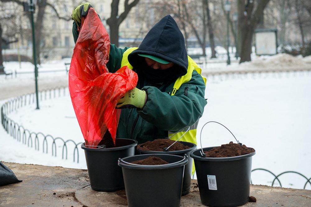 Kaffeesatz statt Streusalz: Die Stadt Krakau testet derzeit eine alternative Streumethode (Bild: Bartosz Siedlik/AFP)