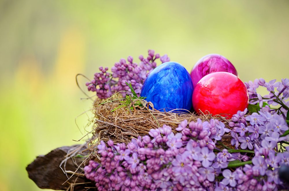 Ostereier in einem Nest mit lila Blumen