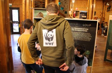 Wolfsausstellung im Naturparkzentrum Botrange (Bild: Chantal Scheuren/BRF)