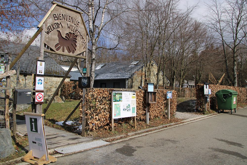 Wolfsausstellung im Naturparkzentrum Botrange (Bild: Chantal Scheuren/BRF)