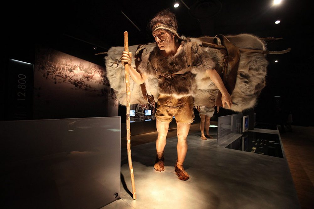 Im Gallo-Römischen Museum in Tongeren (Archivbild: Yorick Jansens/Belga)