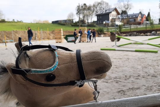 Hobby Horse Club Hergenrath: Reiten auf dem Steckenpferd (Bild: Christophe Ramjoie/BRF)