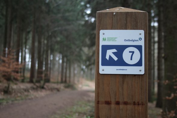 Knotenpunktsystem und App: Wandern in Ostbelgien (Bild: Robin Emonts/BRF)