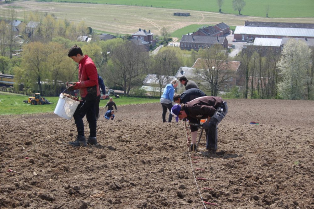 13 Freunde und ein Weinfeld: In Hombourg wird Wein angebaut (Bild: Andreas Lejeune/BRF)