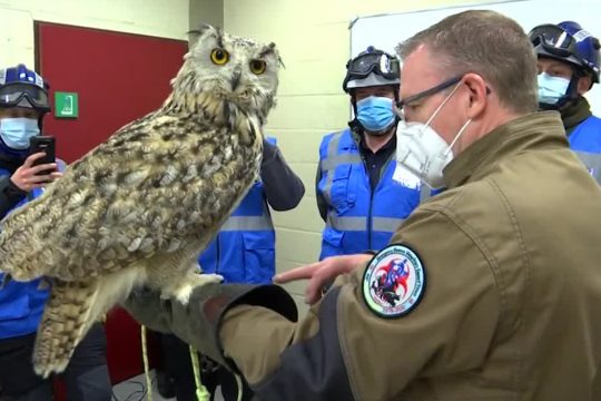 Notfalltierärzte an der Universität Lüttich (Bild: Védia)