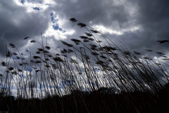 Viele Wolken gab es bisher im Mai über Belgien (Illustrationsbild: Eric Lalmand/Belga)