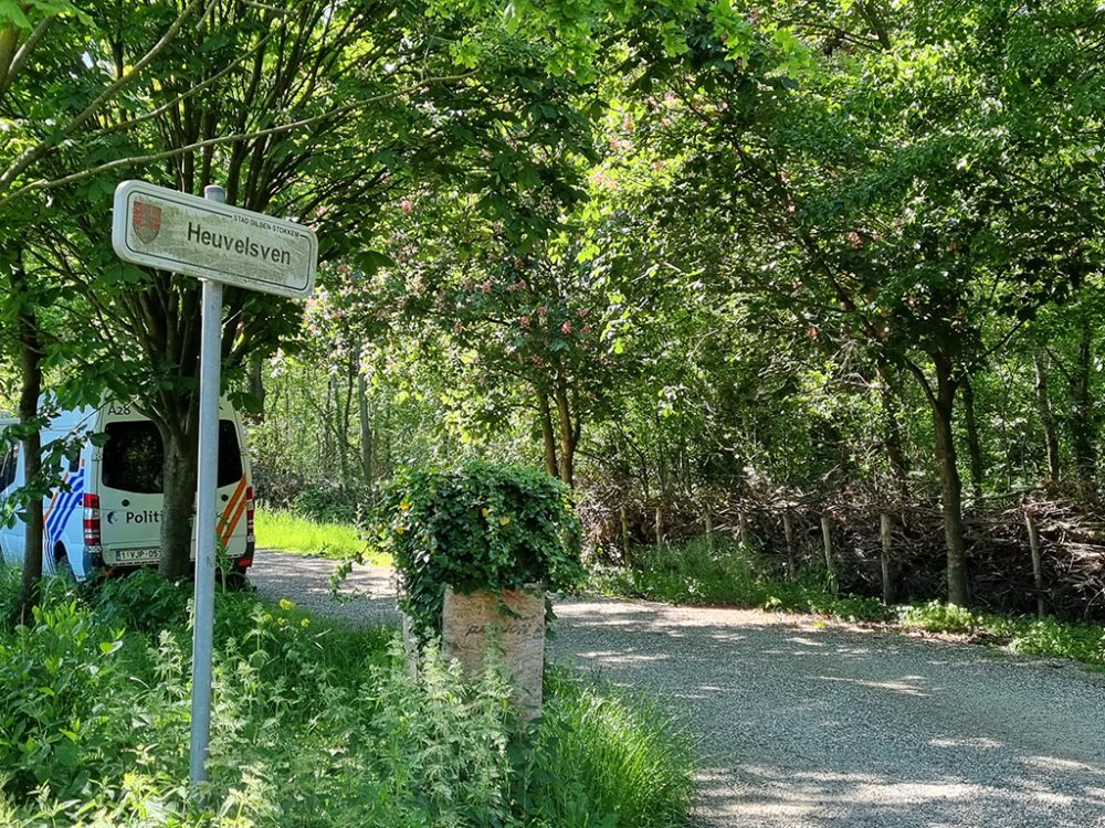 Wald Dilserbos in Dilsen-Stokkem (Bild: Pino Misuraca/Belga)